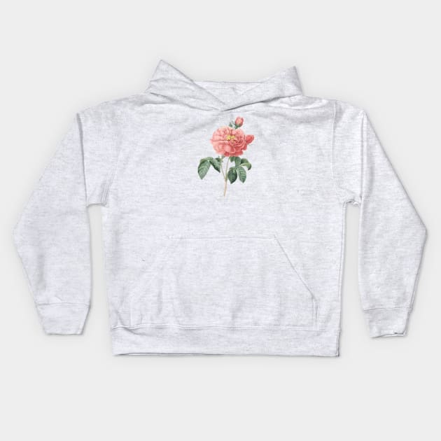 Pink Rose Flower Vintage Botanical Illustration Kids Hoodie by Biophilia